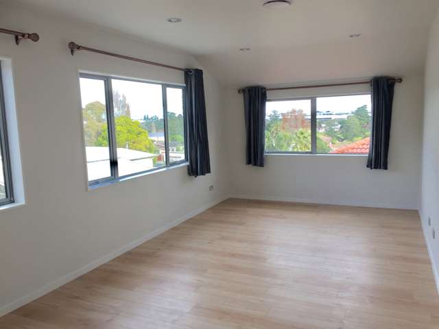 162b Ti Rakau Drive Pakuranga_2