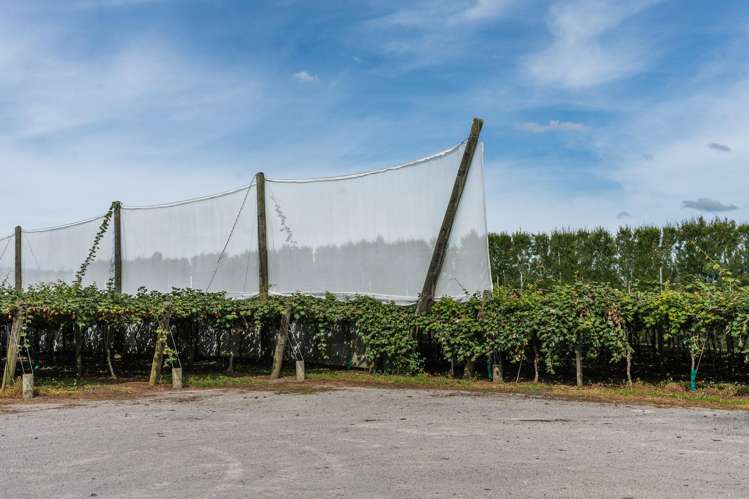 865B Oropi Road Oropi_6