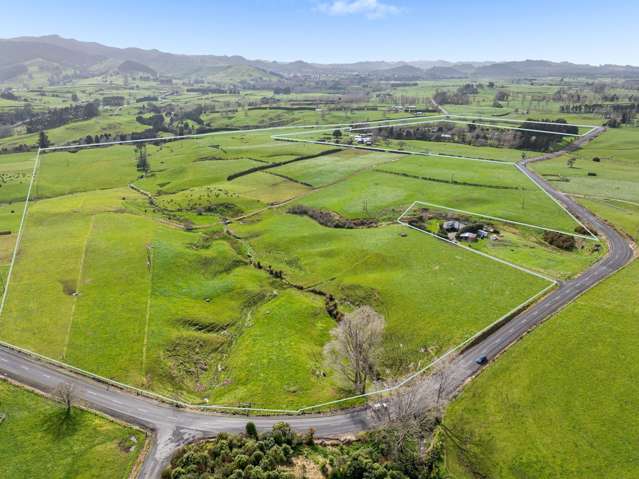 Profitable Pastures in Waihi