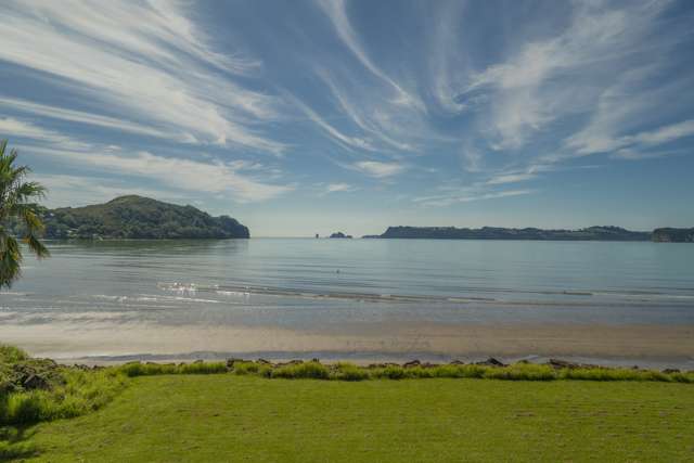 141 Buffalo Beach Road Whitianga_2