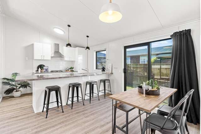 A modern energy efficient home
