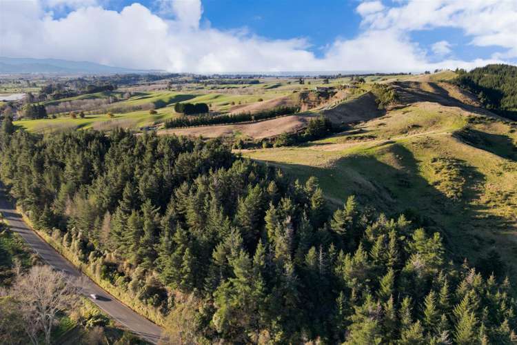 2384 Moutere Highway_5