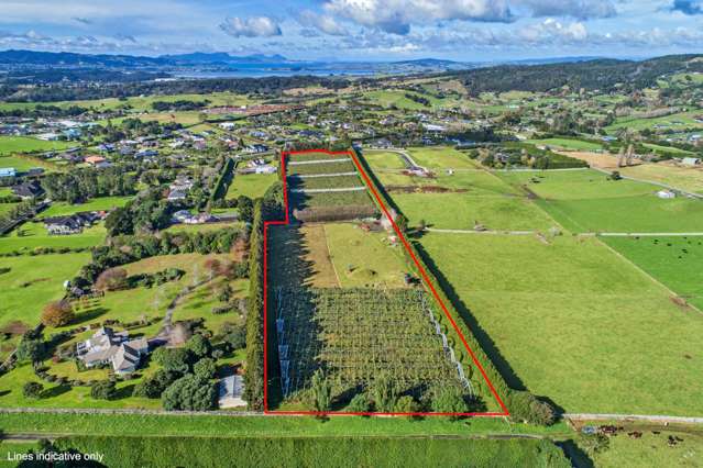 48 Austin Road Maunu_2