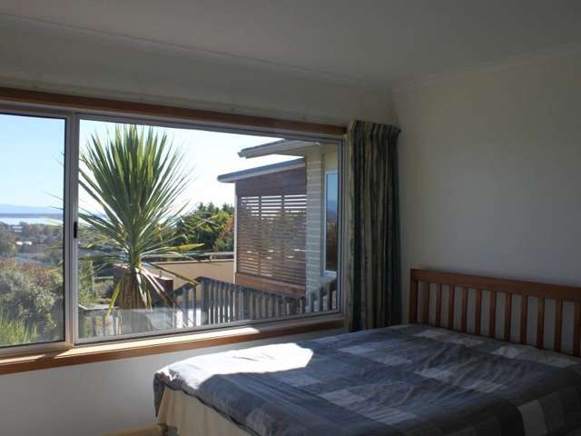 25 Marlborough Crescent Richmond_4