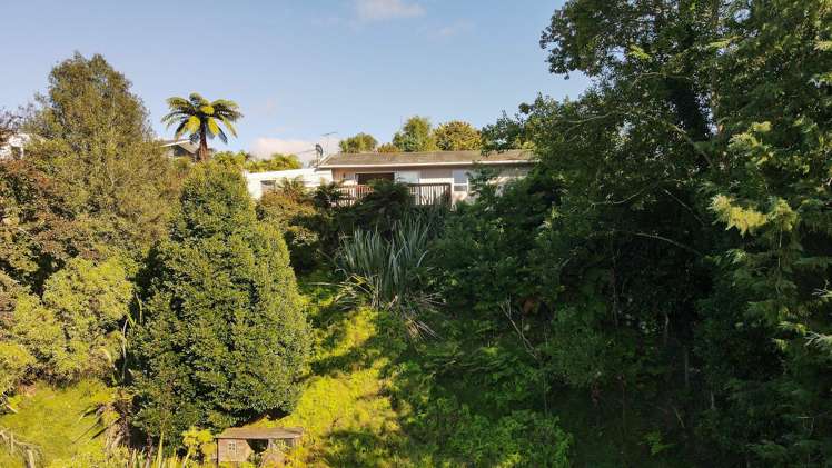 8A Taiporutu Place Springfield_18