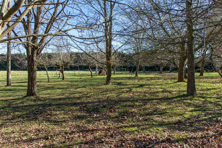 90 Sheates Road Westerfield_18