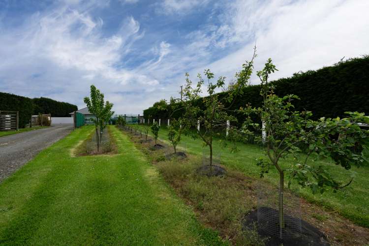 78 East Road Ascot_20