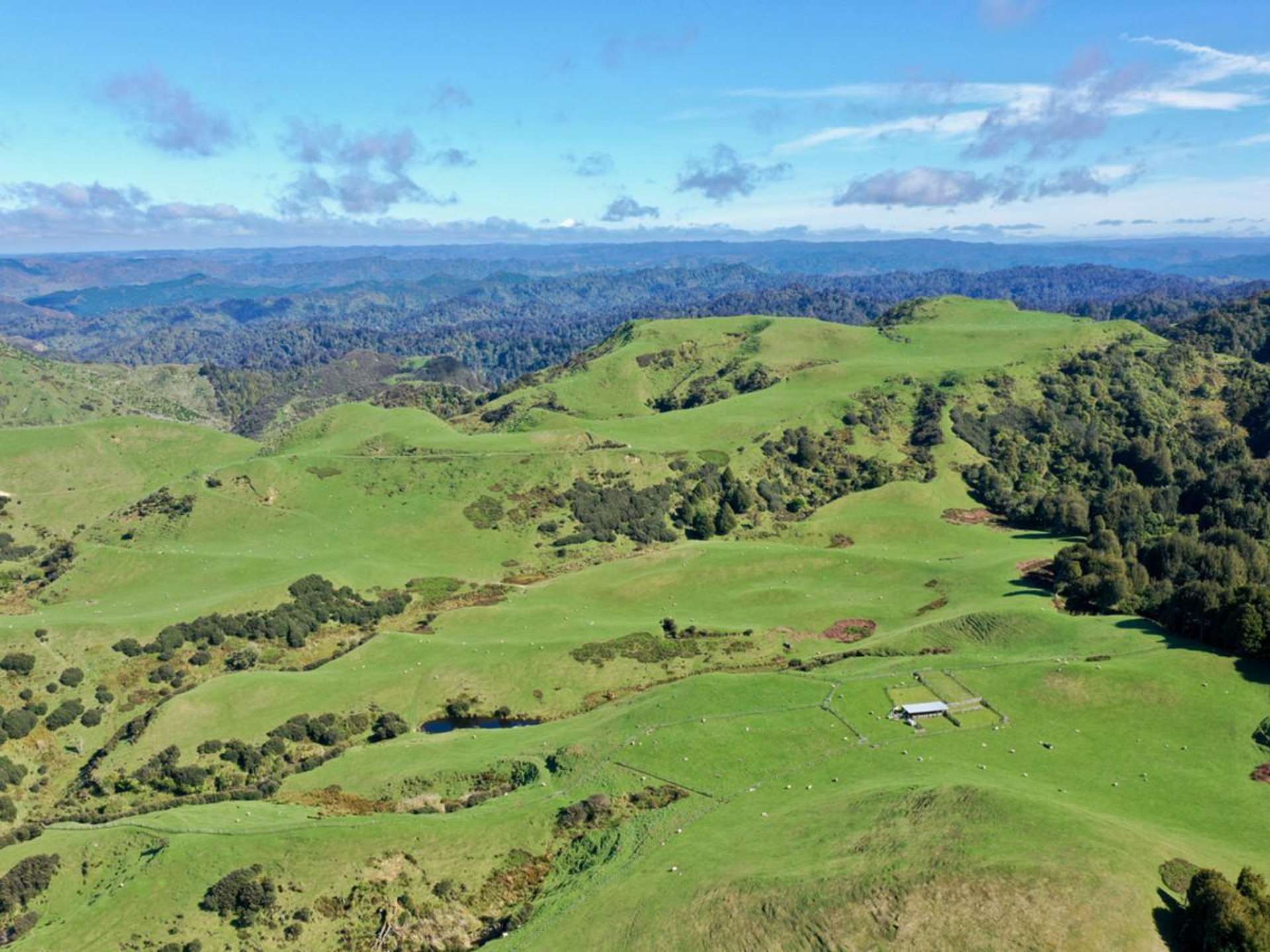 1371 Rangitatau East Road Brunswick_0