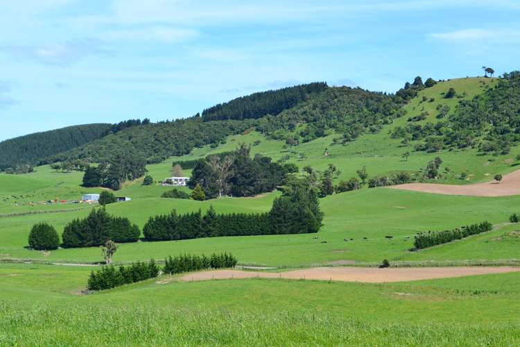 2000 Hillfoot Road Catlins Surrounds_4
