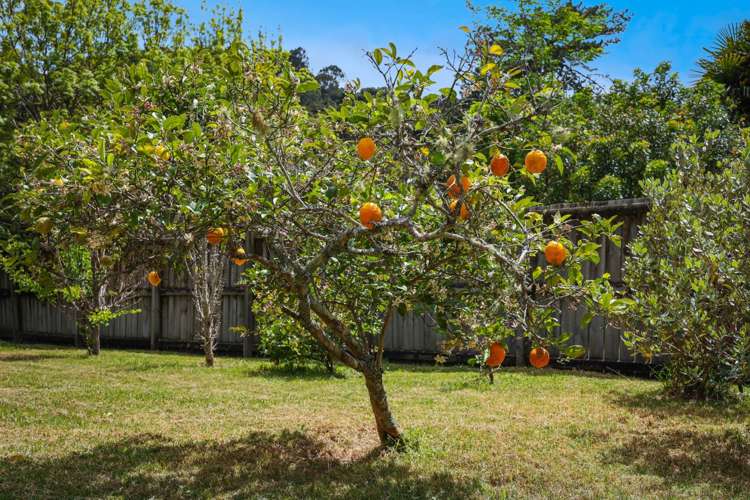 84 Spinella Drive Bayview_29