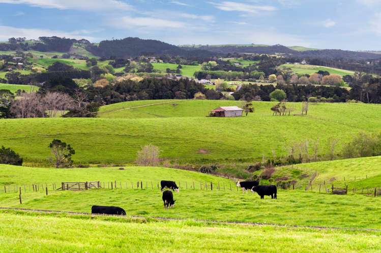 915 Old North Road Waimauku_22