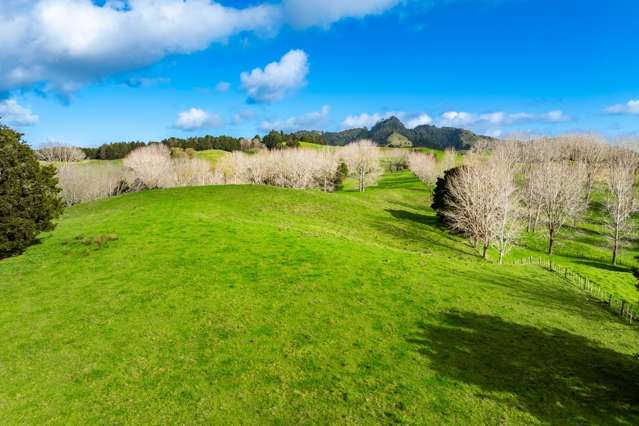 Lot 4a Tauraroa Road Maungakaramea_1