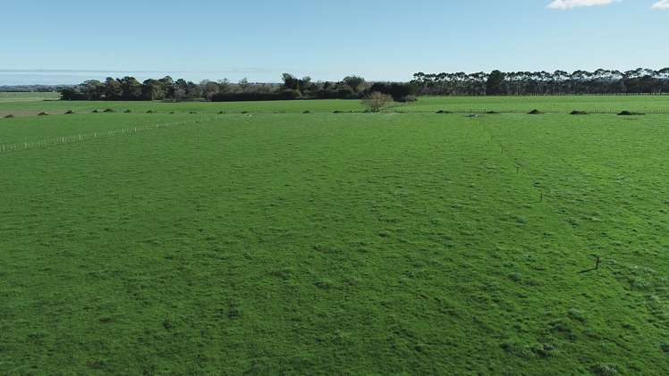 325 Reid Line East Bunnythorpe_8