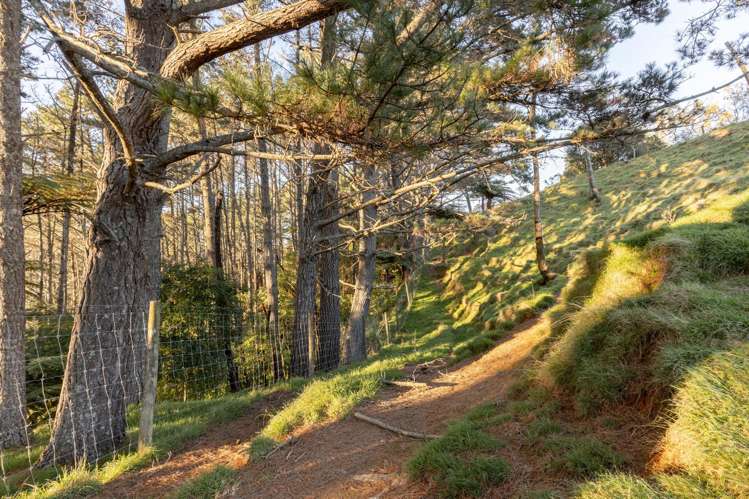 15D Junction Road (Lot 9) Minden_9