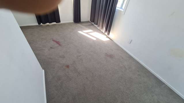 Large newly renovated home for a big family.