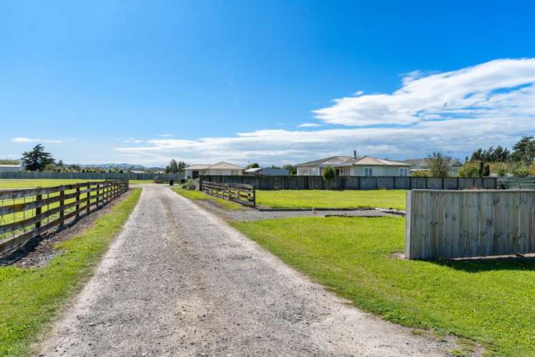 31a Millard Avenue Masterton_13