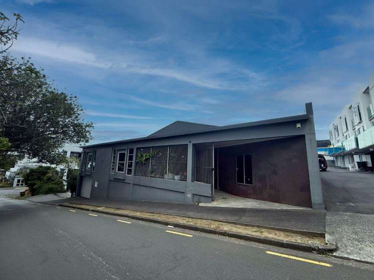 21 Scanlan Street Grey Lynn_6