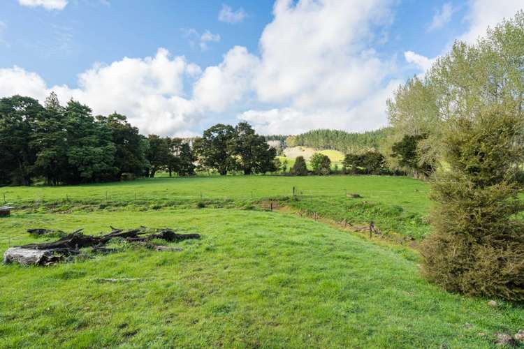 448 Ngunguru Road Glenbervie_16