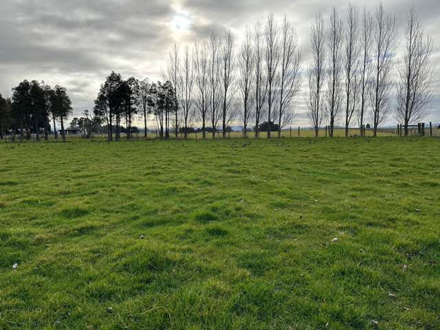 38 O'Brien Road Winton_4