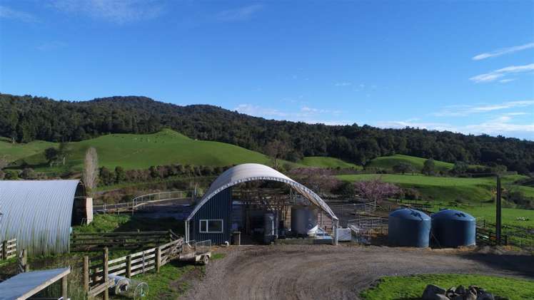 969 Piakonui Road Richmond Downs_2