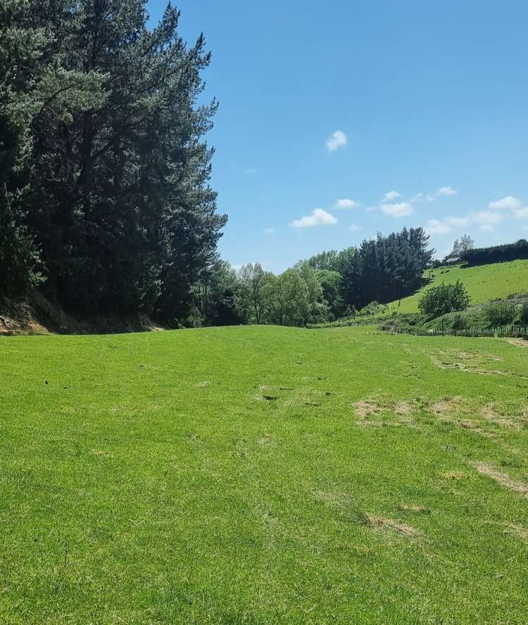 9 Buckley Road Shannon_16