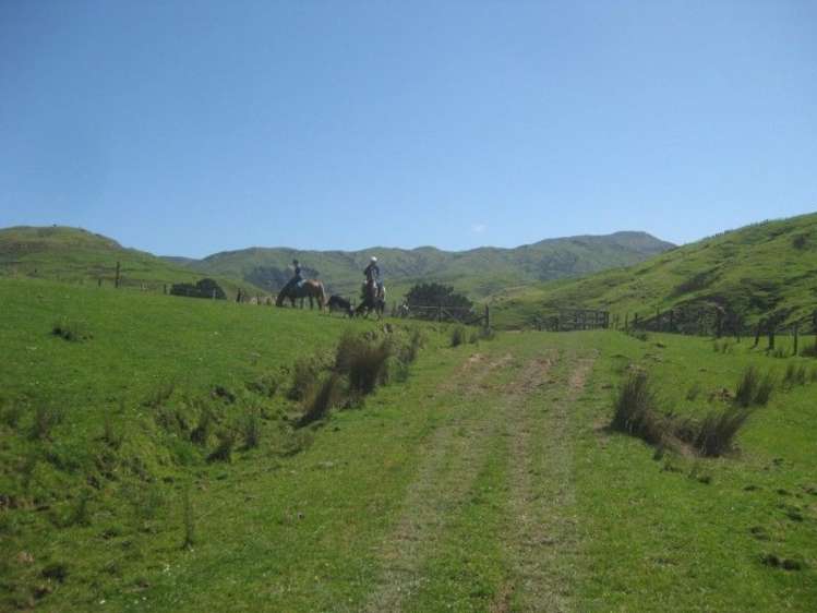 858 Oporae Road Waione_16