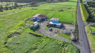 131 Puriri Valley Road_2