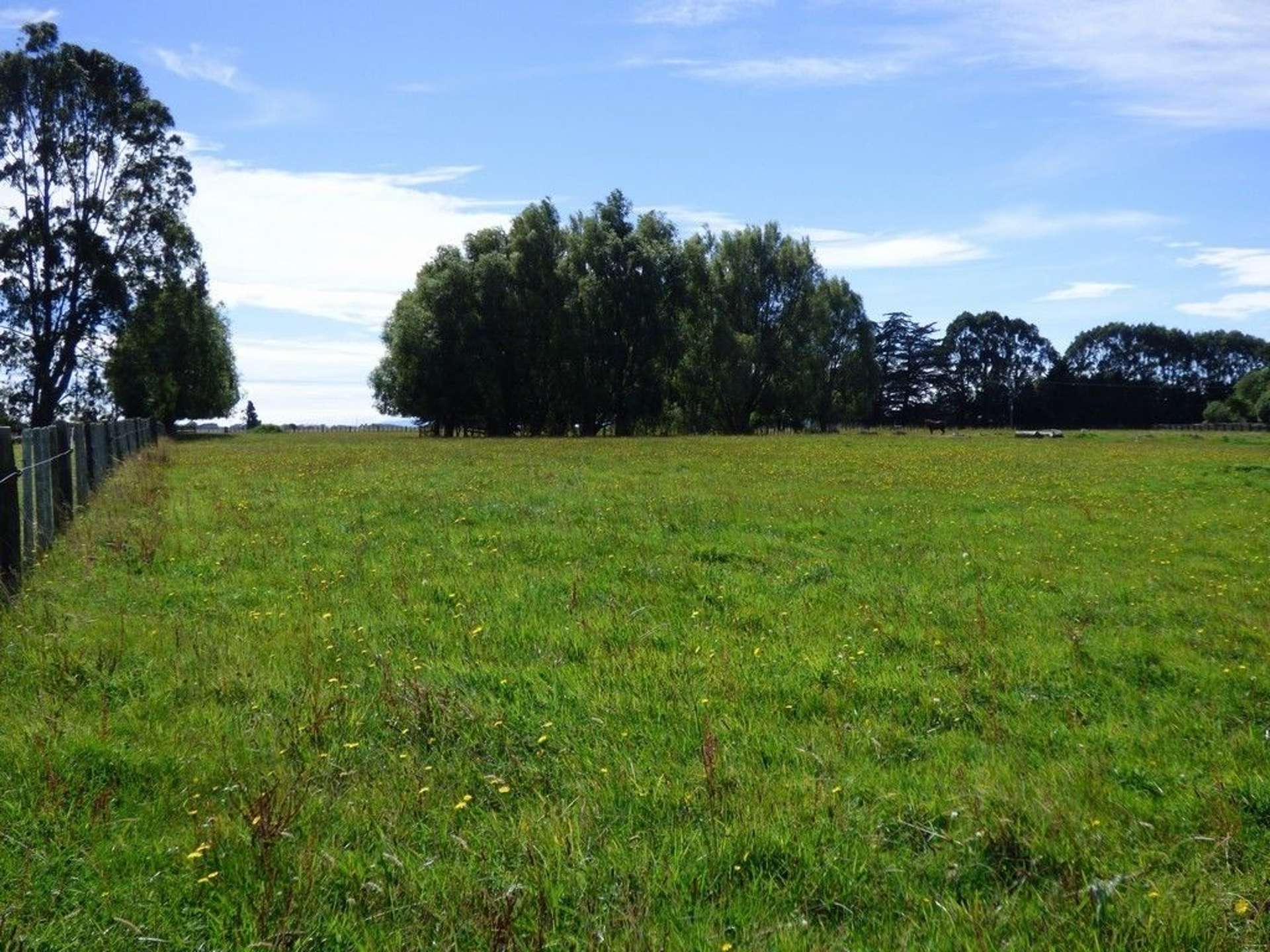 Halcombe Road Feilding_0