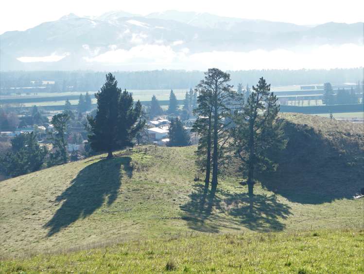 5645 West Coast Road Springfield_15