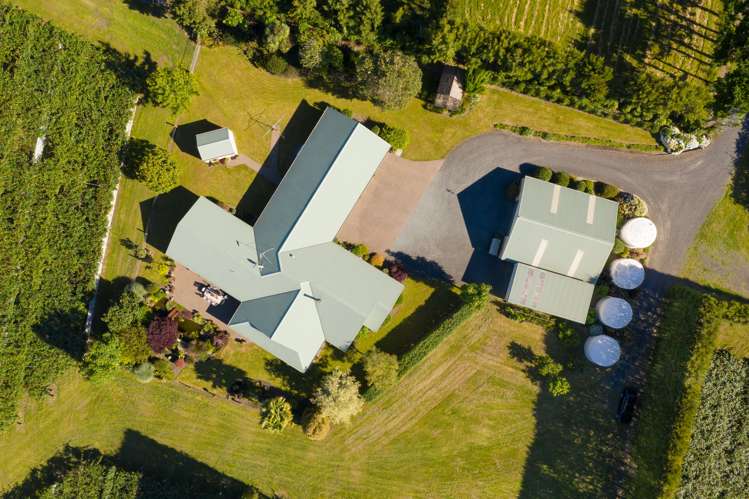 585d Mclaren Falls Road Kaimai_17