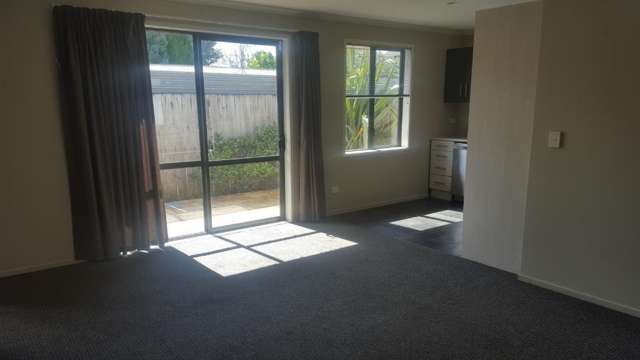 191C Massey Street Frankton_2