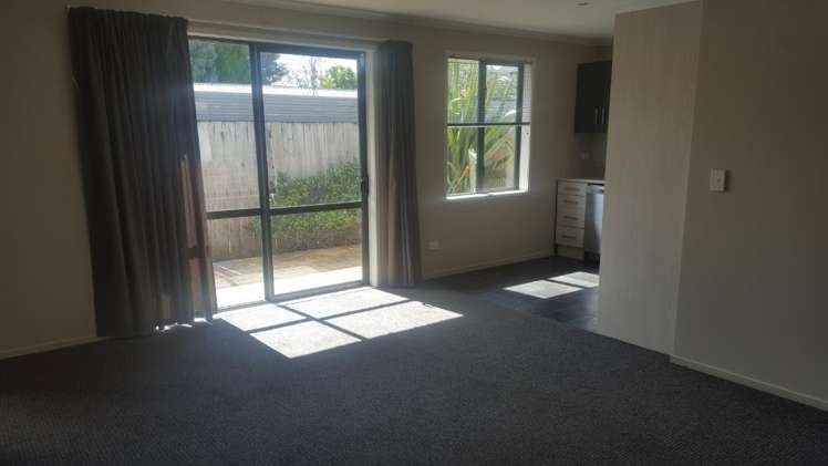 191C Massey Street Frankton_2