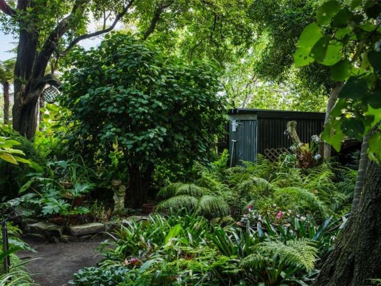 4 Rawiri Street Kaiti_20