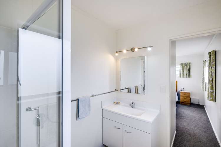 163 Whirinaki Road Eskdale_13