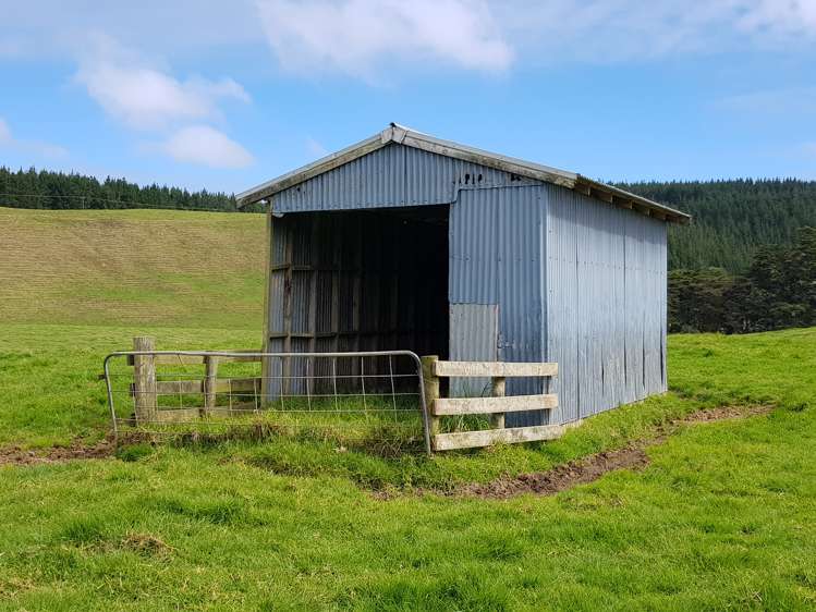 4969 Pouto Road Pouto_11