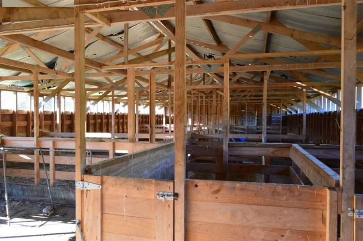 716 Ongarue Back Road Taumarunui_48