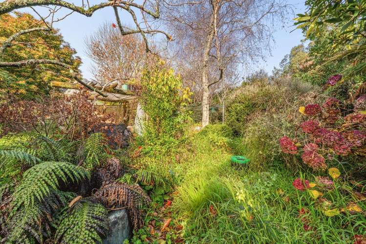 47 Maclaren Street Maymorn_9