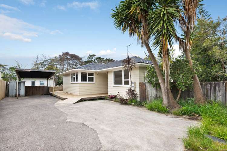 49a Glendene Avenue Glendene_14