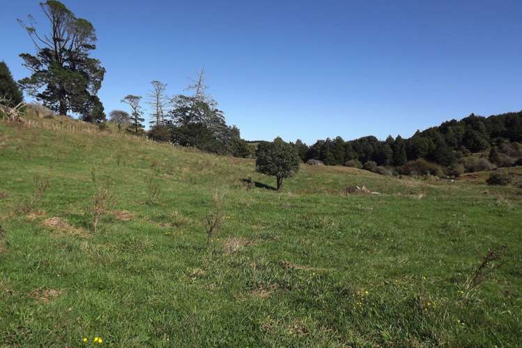 238 Waimaori Road Raglan_17