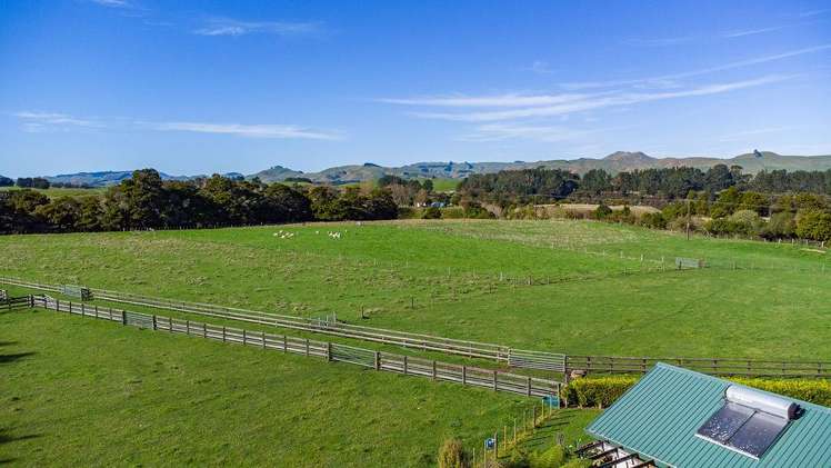 356 Matamau Ormondville Rd Dannevirke_25