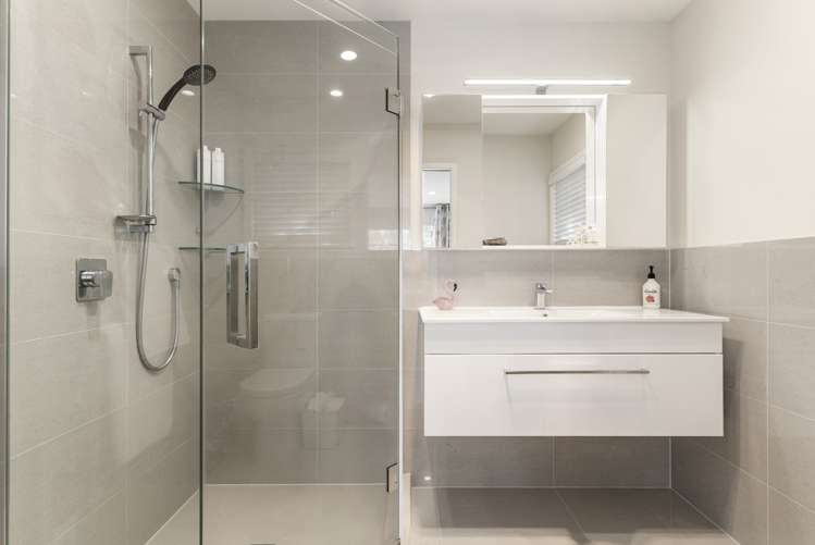 99a Nile Road Milford_11