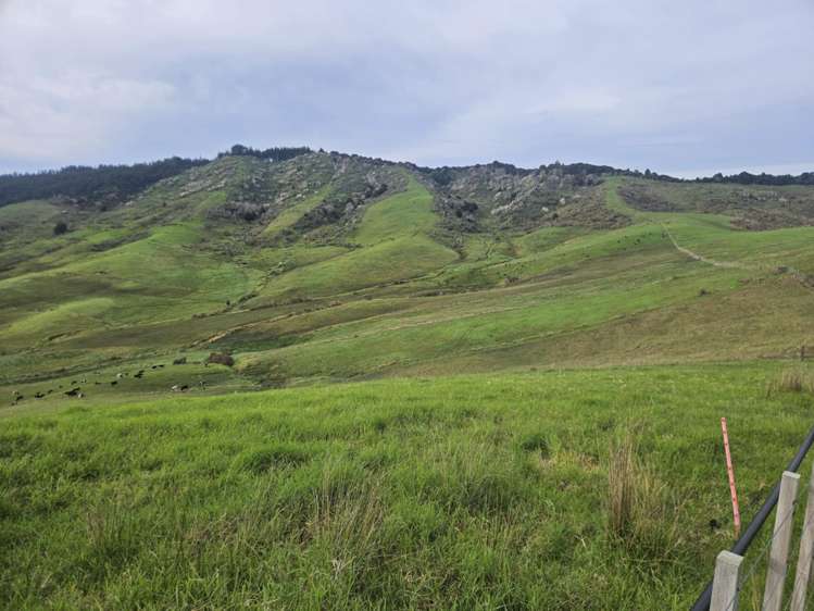 Lot 2/36 Te Moho Road Taipa_21