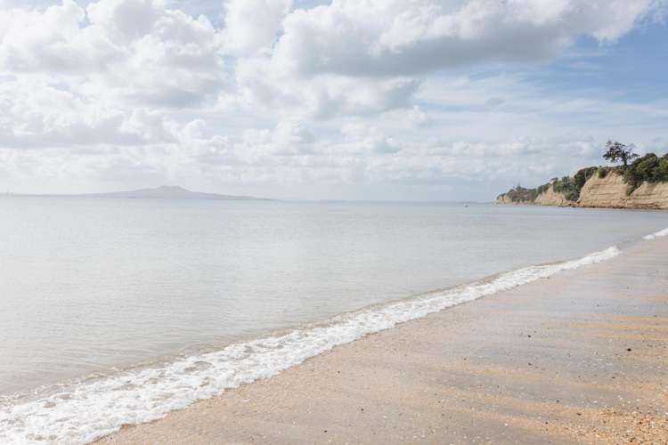 571 East Coast Road Browns Bay_6