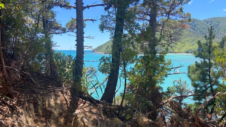 Croisilles-French Pass Road Okiwi Bay_13