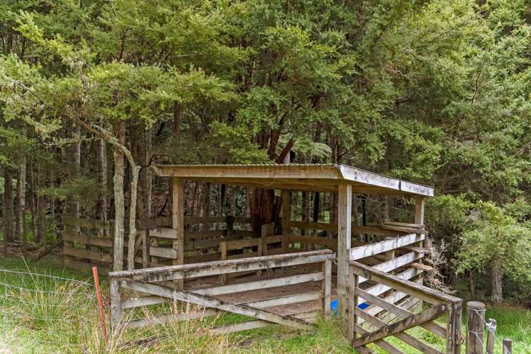 46 Waipuna Road Maunu_43