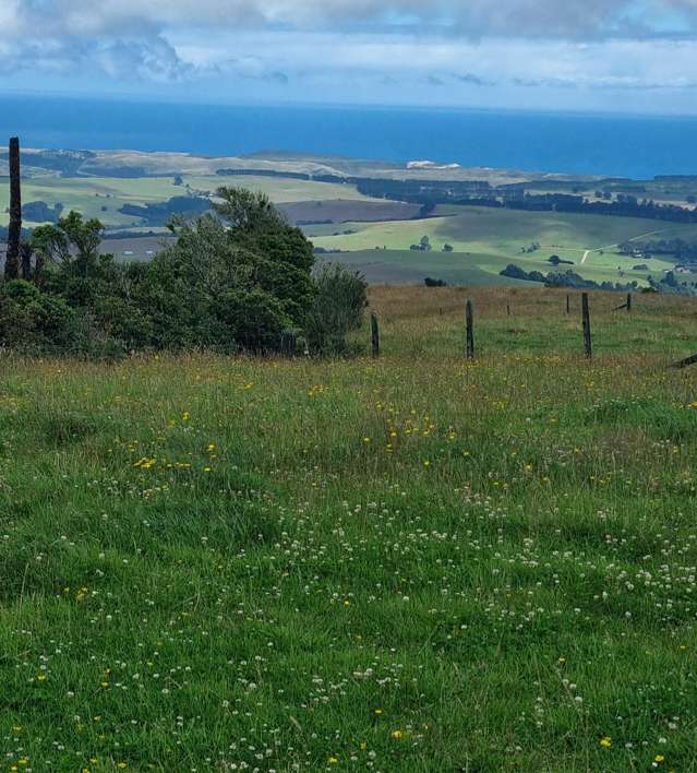 89 Jones Road Donnellys Crossing_2