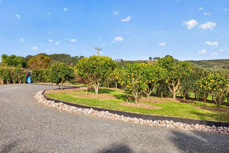 157E Kaiate Falls Road Welcome Bay_34