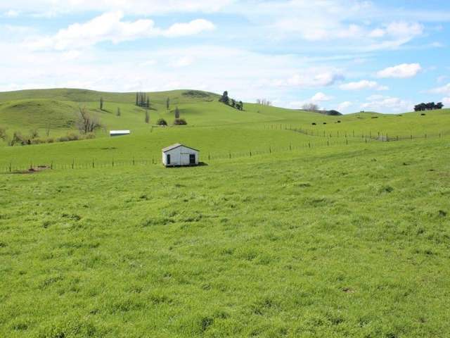 434 Hatuma Road Waipukurau and Surrounds_1