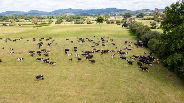 757 Ngaruawahia Road Te Kowhai_3