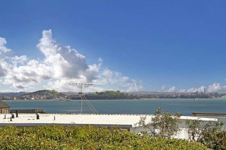 21 Tuhimata Street Saint Heliers_23